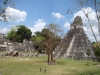 Guatemala, Tikal