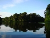 Costa Rica, P.N. Tortuguero