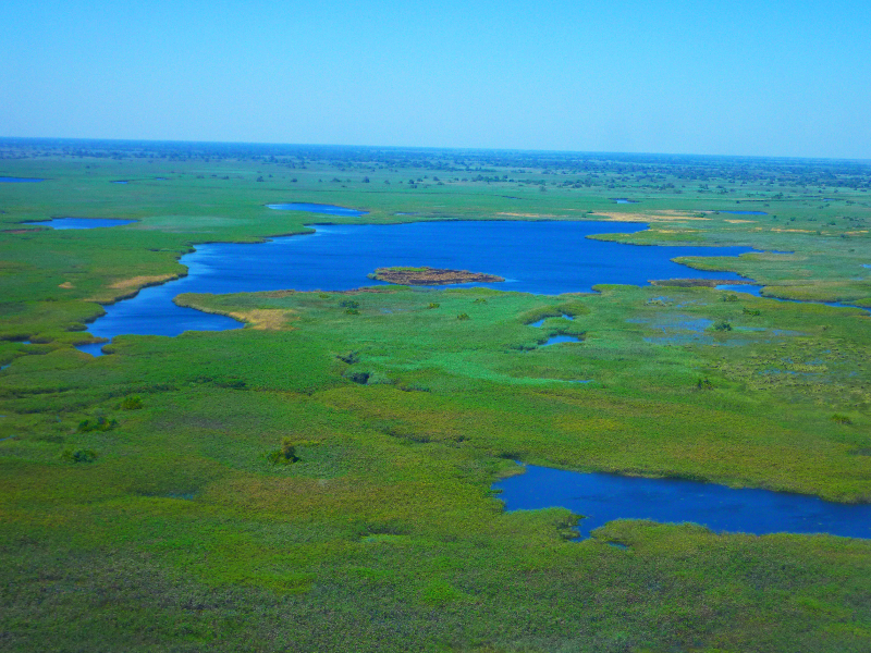 Botswana, Delta del Okavango
