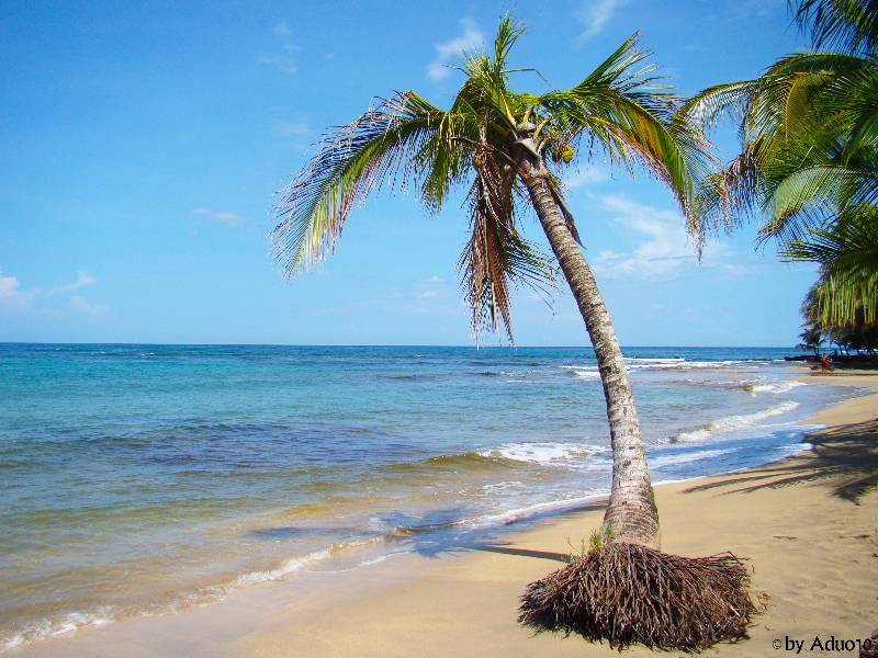 Costa Rica, Puerto Viejo