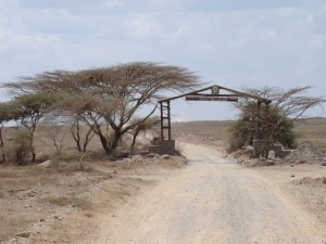 P.N. Serengeti