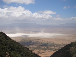 Ngorongoro