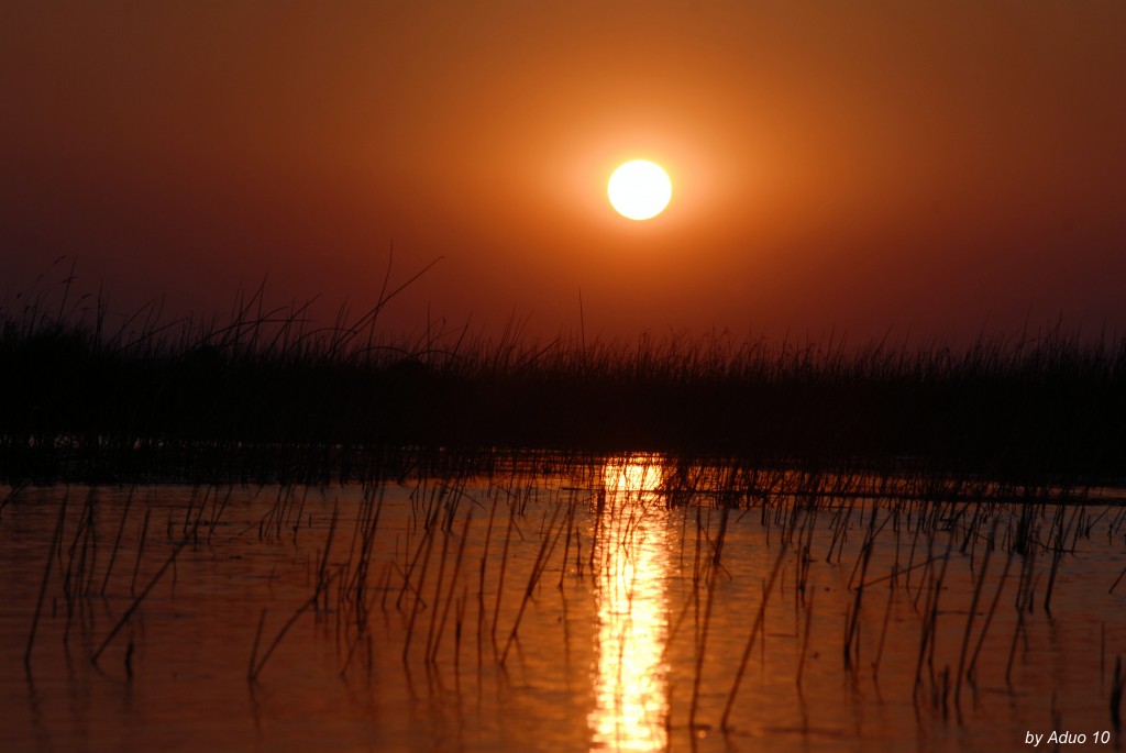 Delta Okavango Atardecer