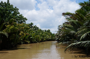 Delta-del-Mekong