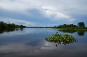 Tonle Sap_II